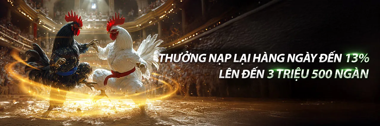 Sân vận động thể thao với ánh đèn rực rỡ, biểu tượng cá cược sôi động trên TT88 APK